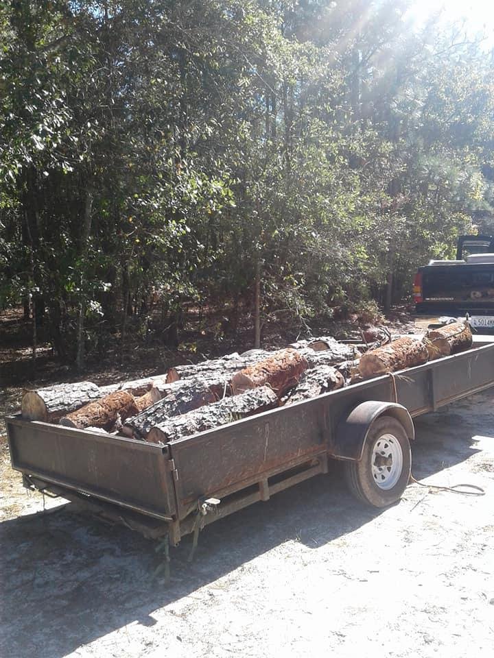 Photo of Gabus Tree Service