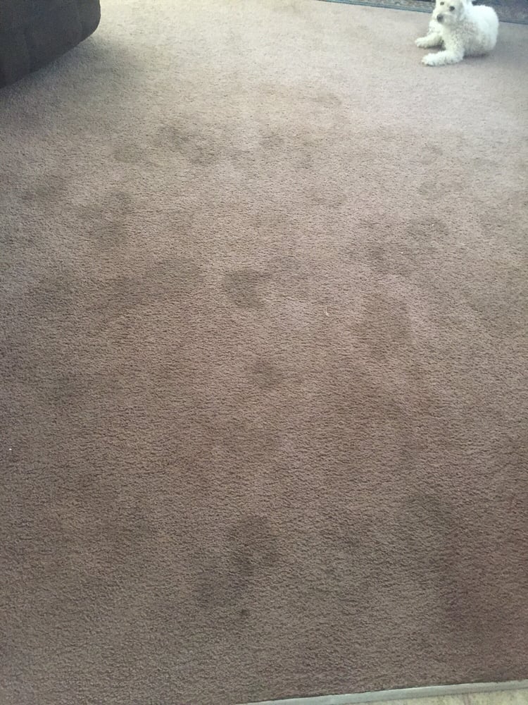 Photo of Huy's Steam Carpet