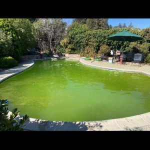 San Jose J.P.O. Pool Services