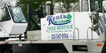 Photo of Kent's Lawn & Tree Service