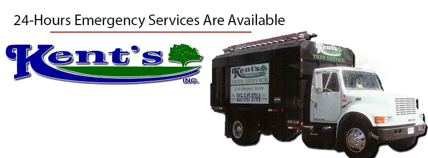 Photo of Kent's Lawn & Tree Service