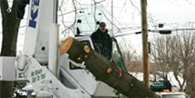 Photo of Kent's Lawn & Tree Service