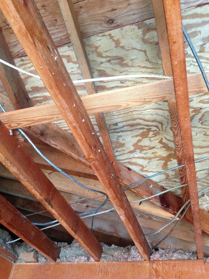 Photo of Crawlspace Remediation