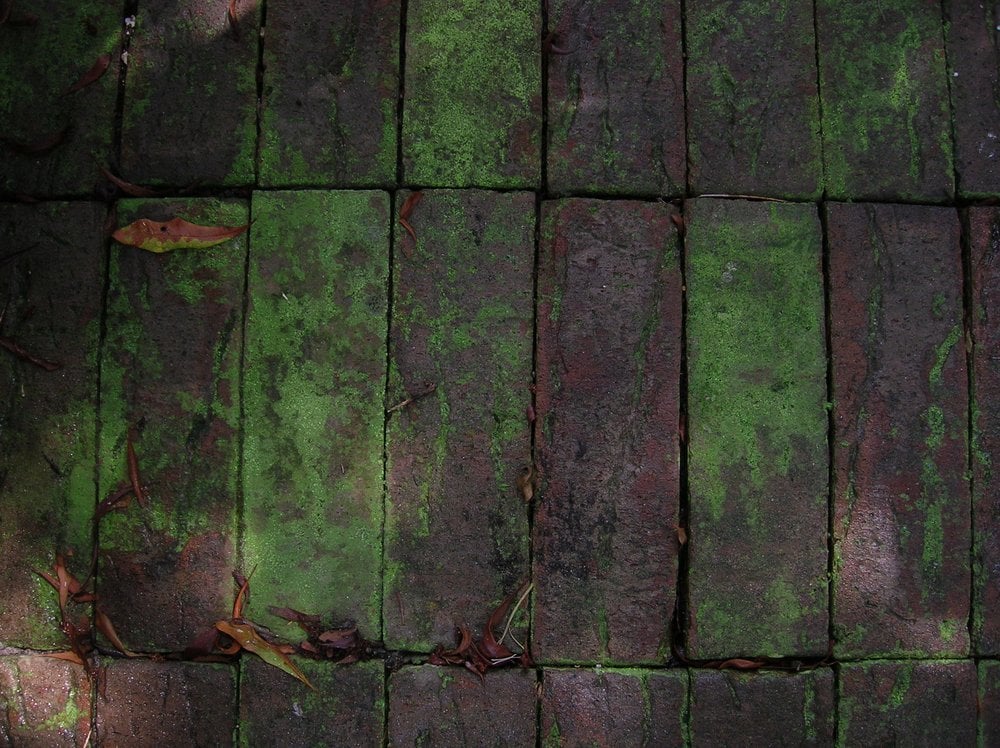 Photo of Tidal South Pressure Washing