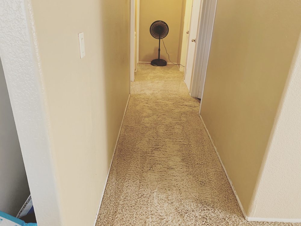 Photo of Xtreme Cleaning