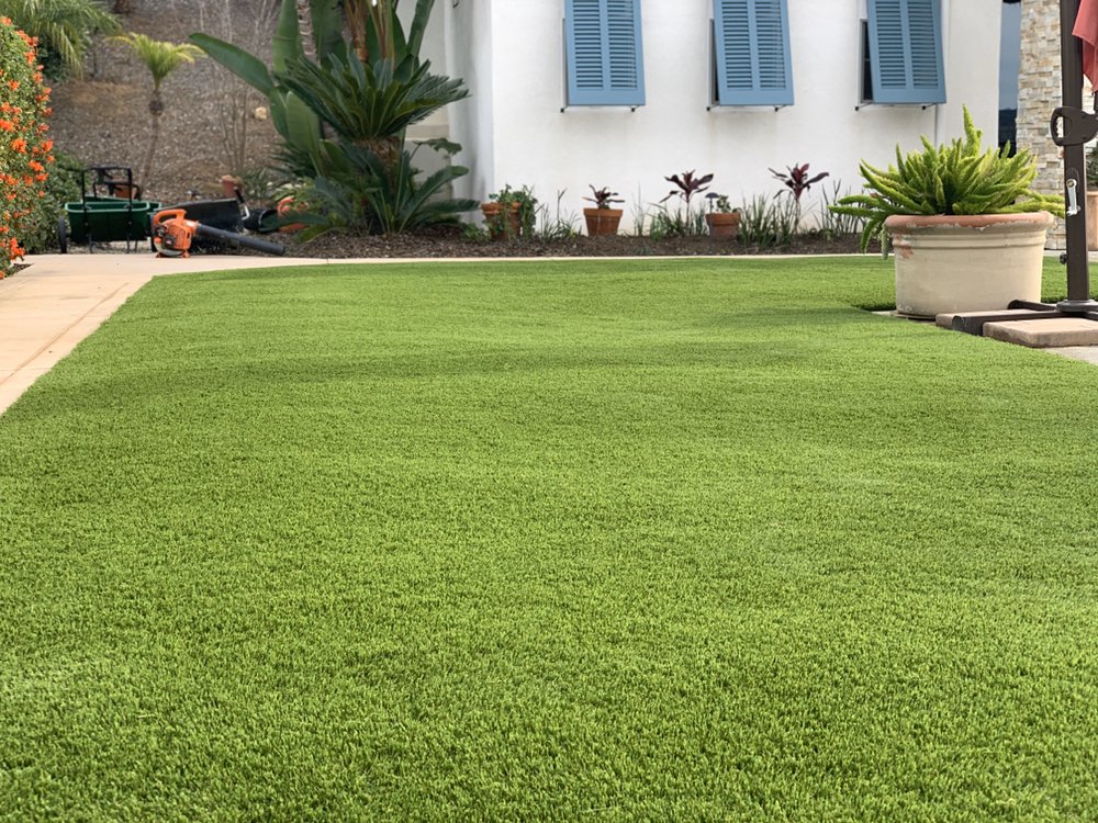 Photo of Panjia Turf
