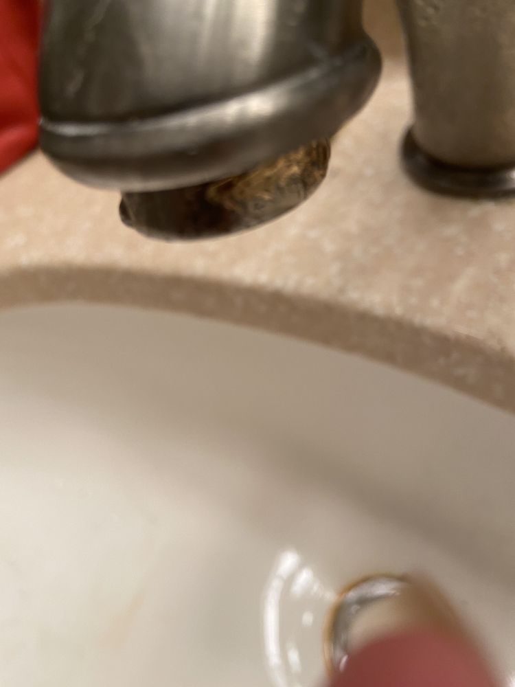 Photo of Selective Carpet Cleaning