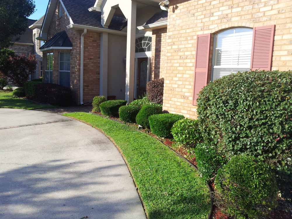 Photo of Lawn Tigers