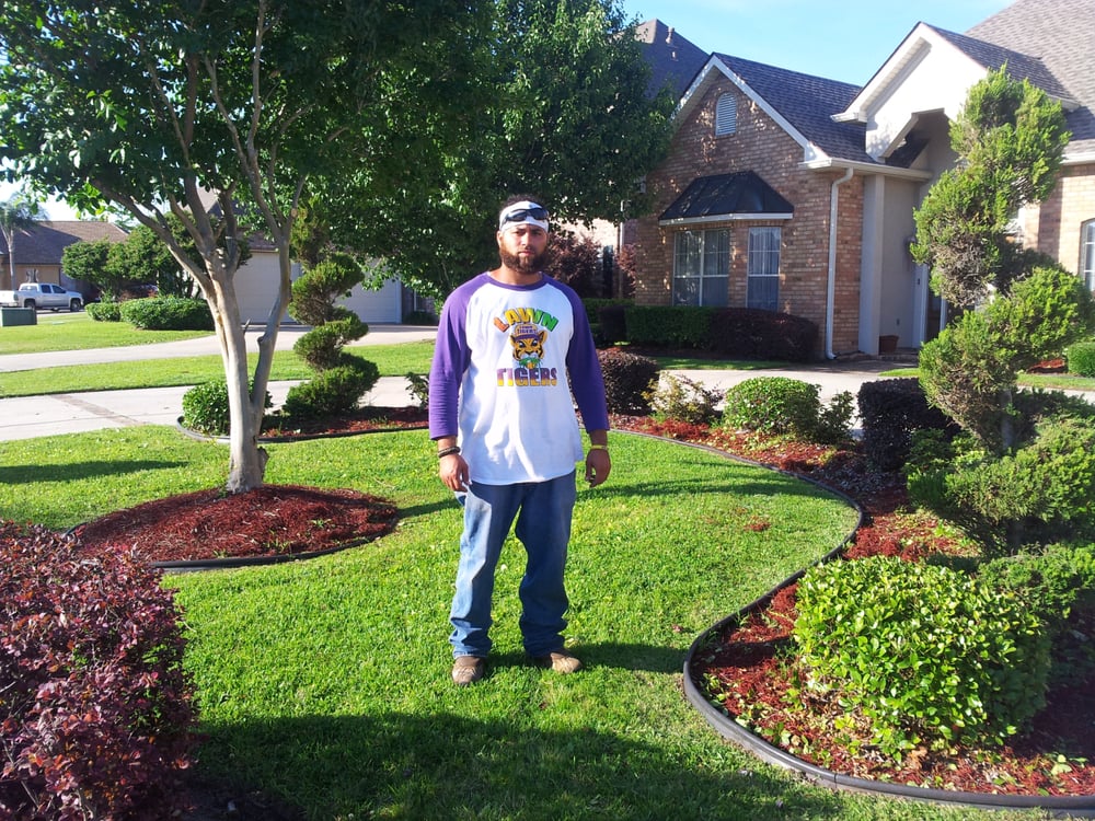 Photo of Lawn Tigers