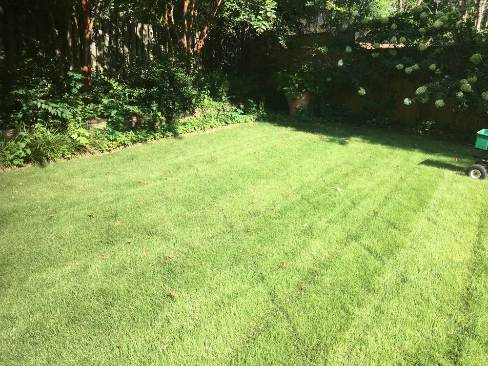 Photo of Details Lawn Care