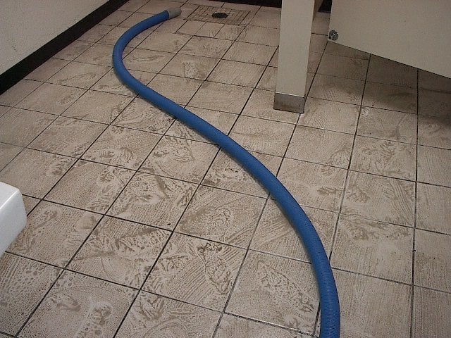 Photo of AYC Carpet & Upholstery Cleaning