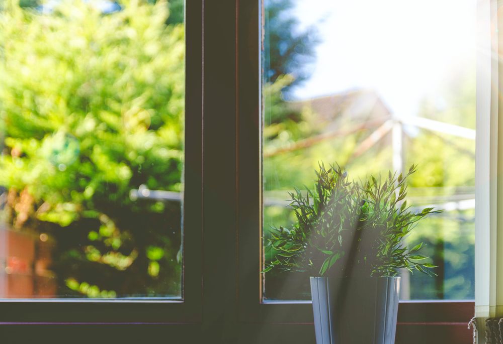 Photo of A Better View Glass