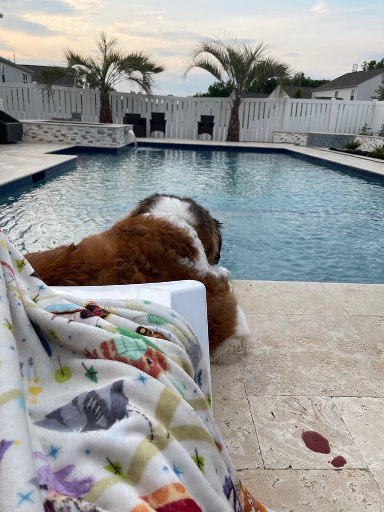 Photo of Carolinas Pool Cleaning