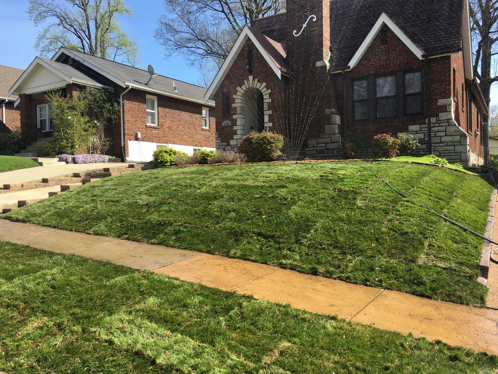 Photo of Complete Lawn Care