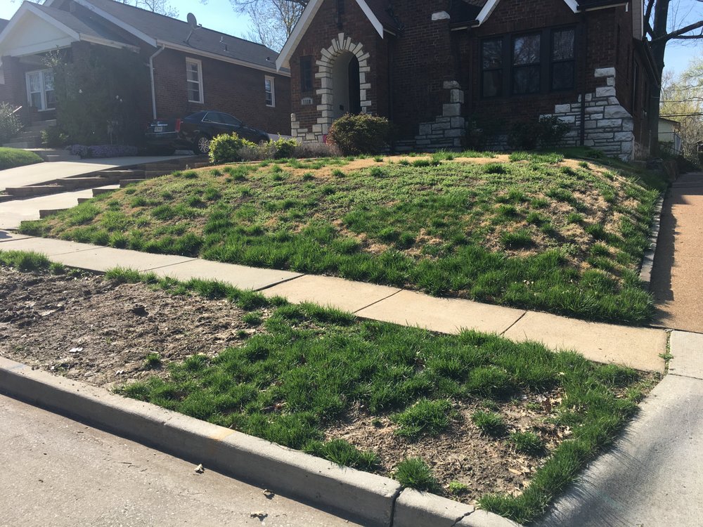 Photo of Complete Lawn Care