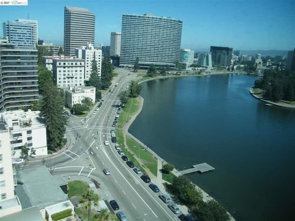 Photo of Collins Management