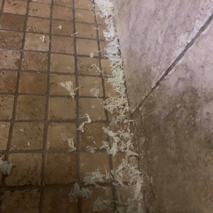 Photo of Affordable Cleaning Services