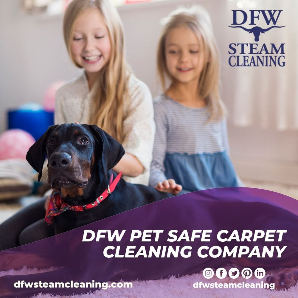 Photo of DFW Steam Cleaning