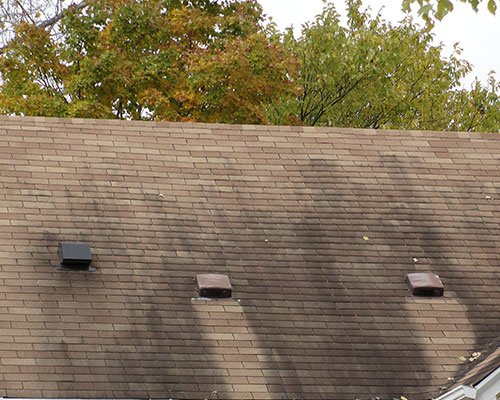 Photo of Palmetto House Washers
