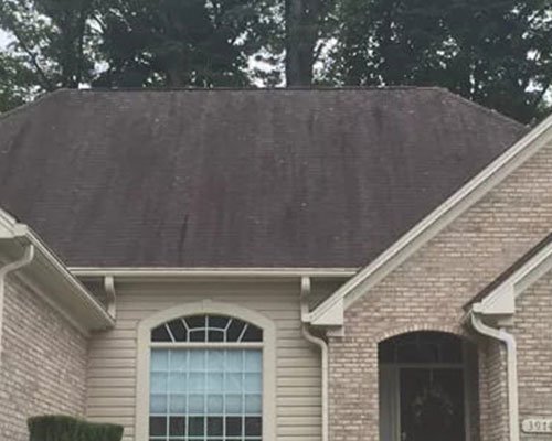 Photo of Palmetto House Washers