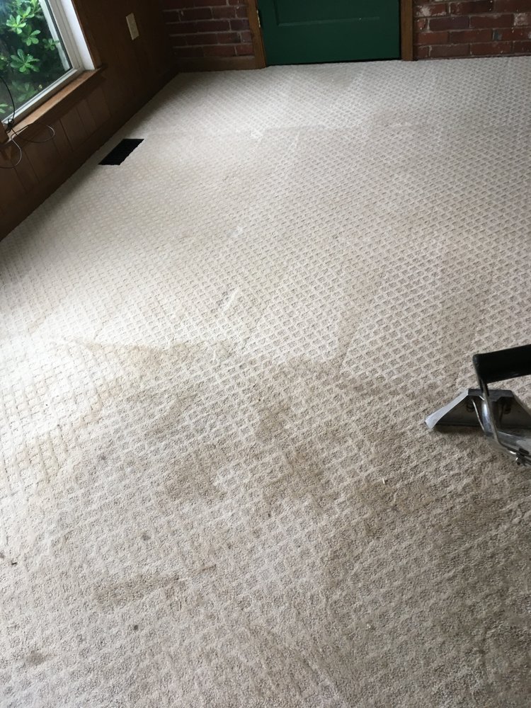 Photo of Puregreen Steam Cleaning