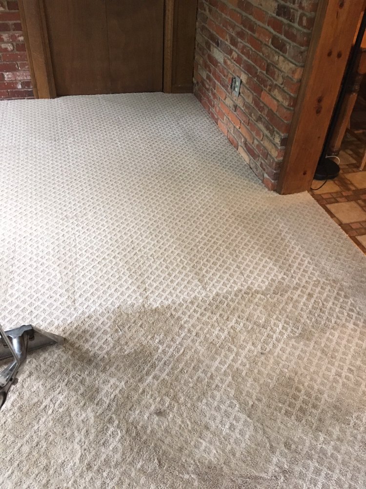 Photo of Puregreen Steam Cleaning