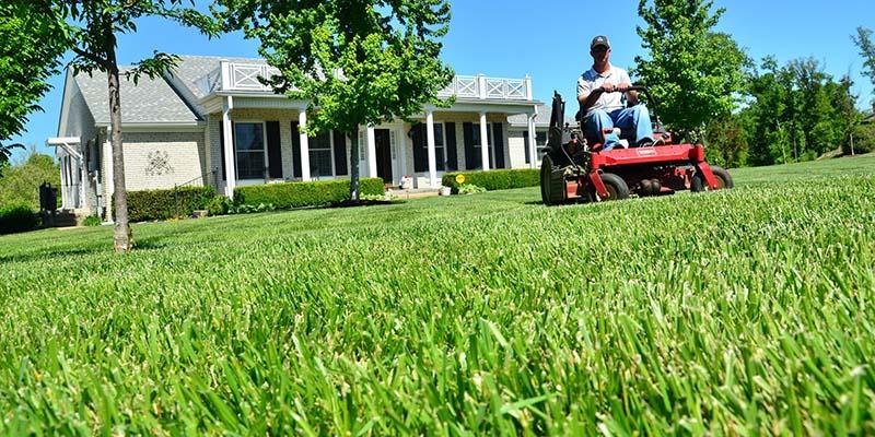 Photo of Alliance Lawn Care and Snow Plowing
