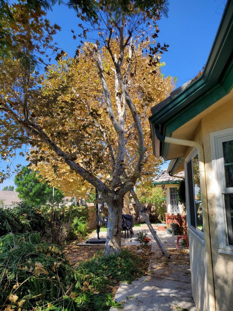 Photo of Matthew's Maintenance