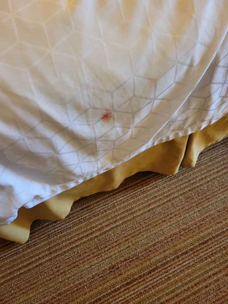 Photo of Holiday Inn Express Germantown