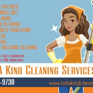 Williamsburg 1 Of A Kind Cleaning Services