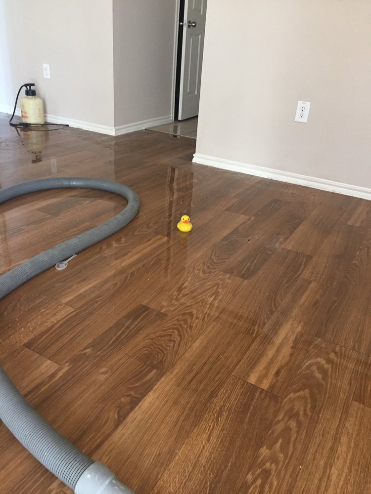 Photo of TLC Carpet Cleaning