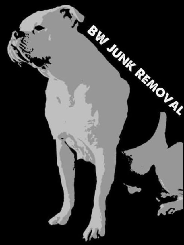 Photo of BW Junk Removal