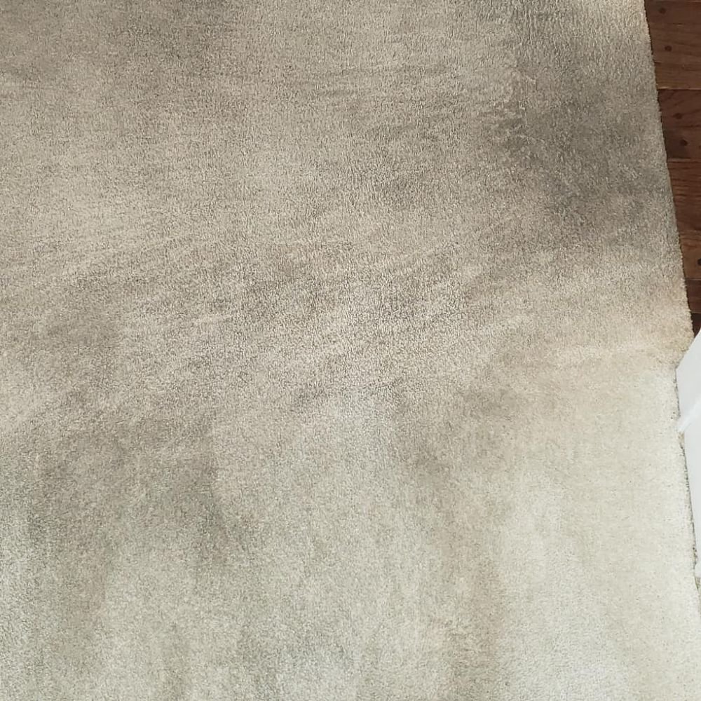 Photo of Dry-Max Carpet Care