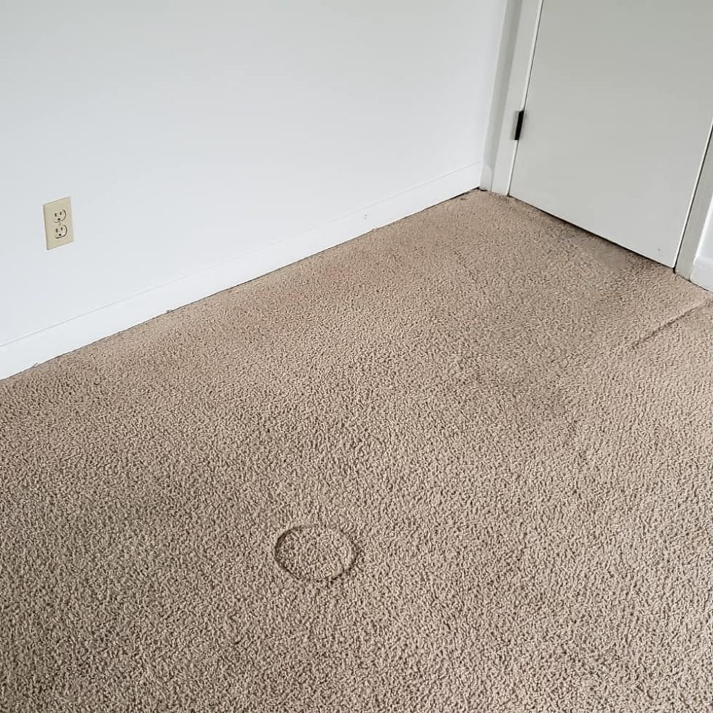 Photo of Dry-Max Carpet Care