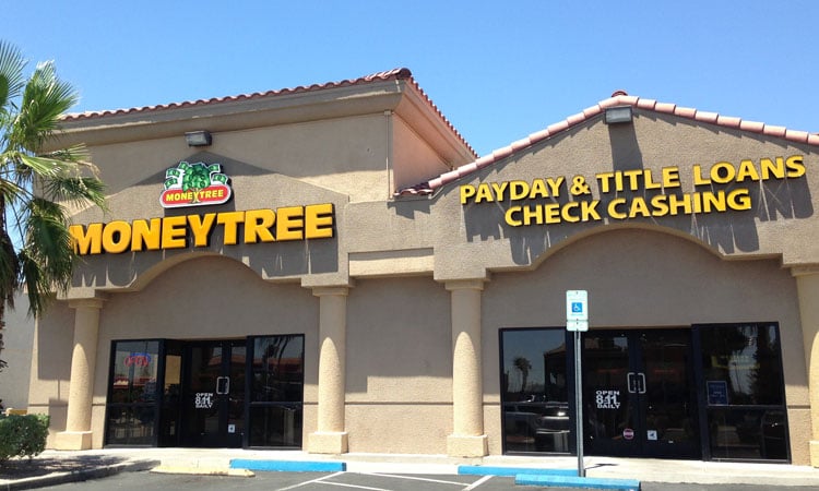 Photo of Moneytree