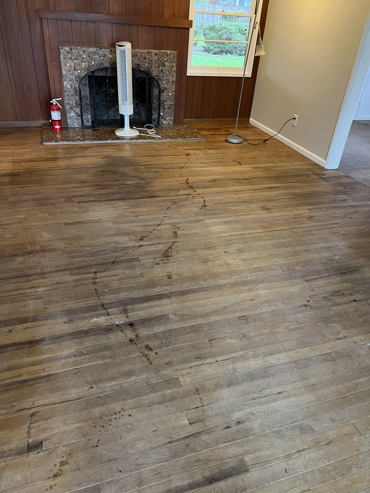 Photo of All Might Carpet & Floor Cleaning