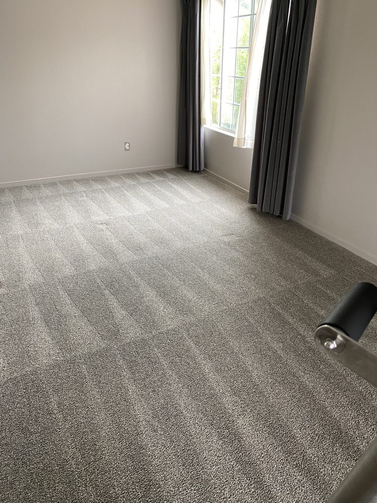 Photo of All Might Carpet & Floor Cleaning