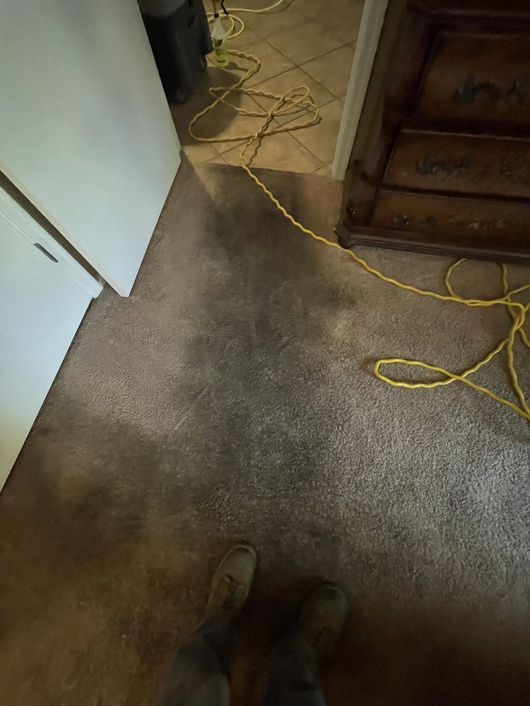 Photo of Best Clean Carpet, Tile, and Upholstery