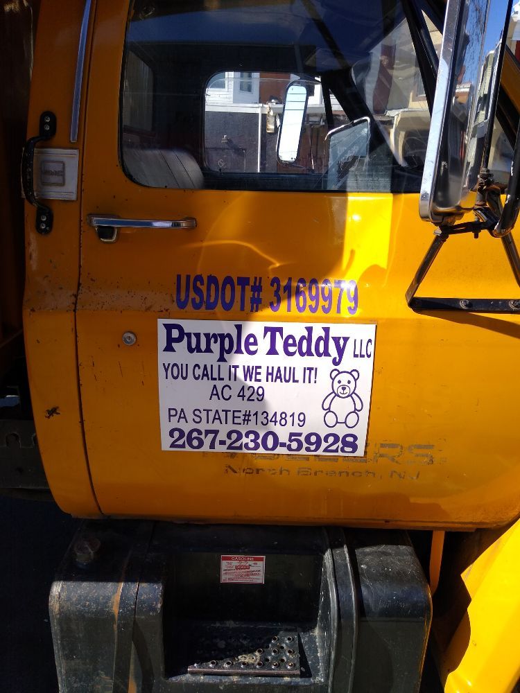 Photo of Purple Teddy