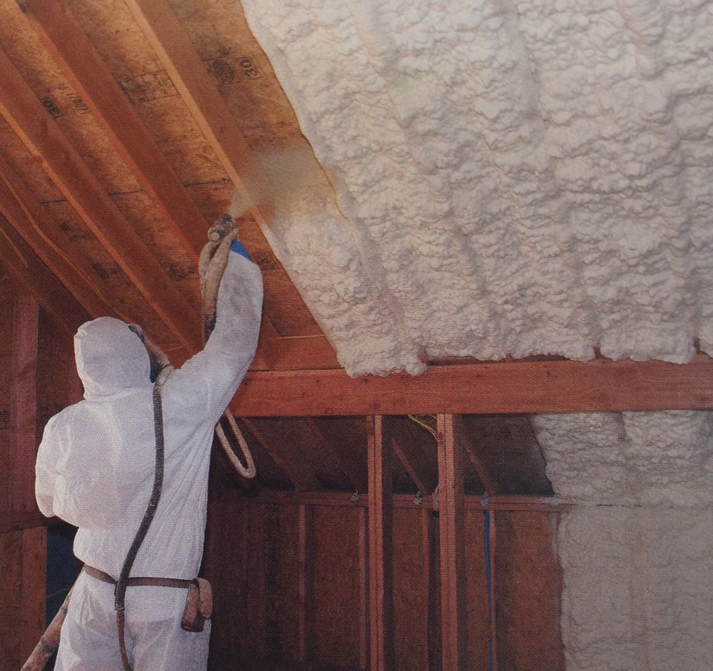 Photo of The Home Insulators - Pearl River