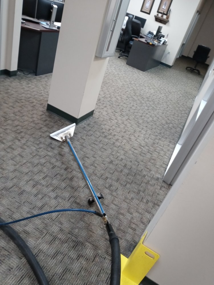 Photo of The Carpet Medic