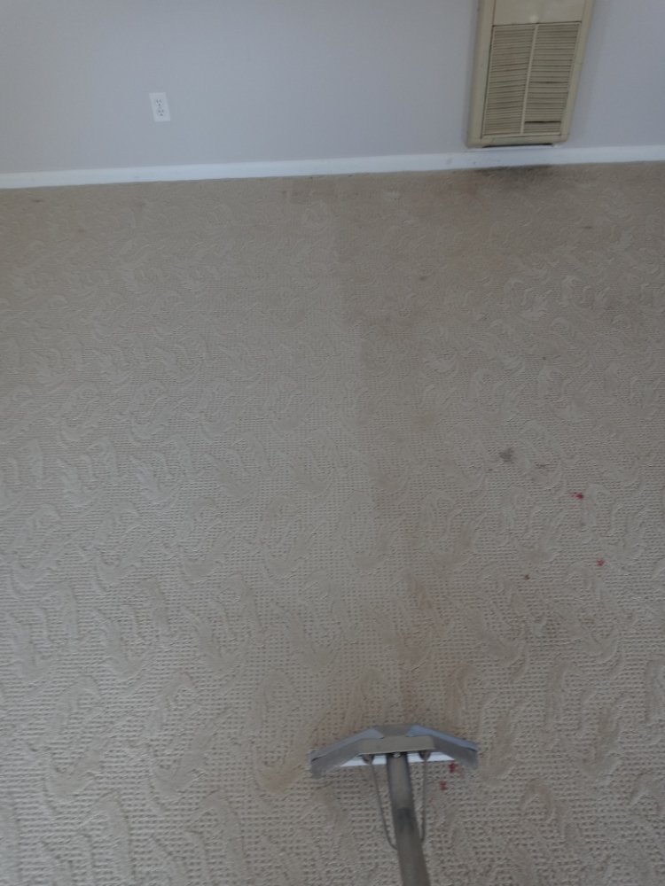 Photo of The Carpet Medic