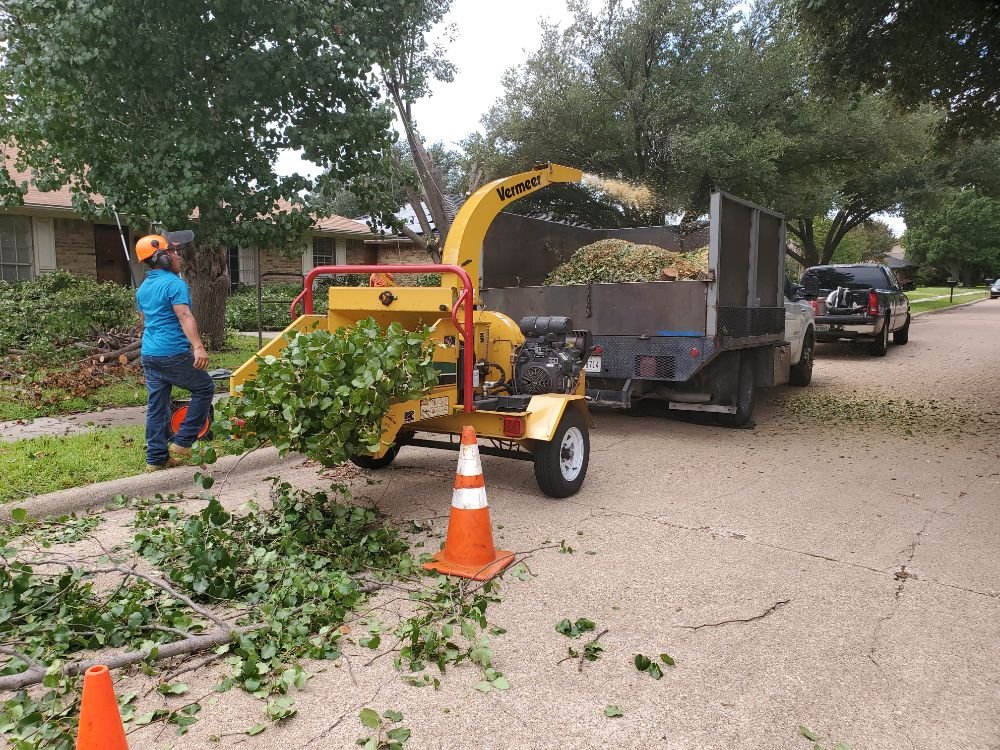 Photo of Rudy's Tree Service