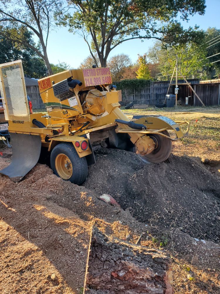 Photo of Rudy's Tree Service