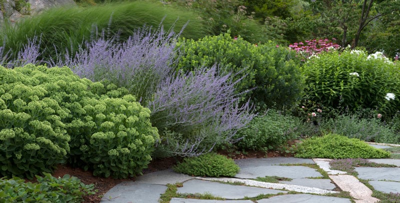 Photo of Parterre Garden Services
