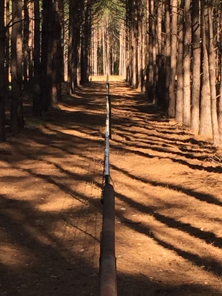 Photo of Lone Star Land Enhancement