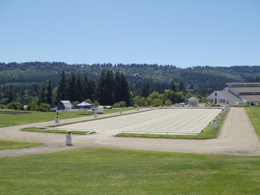 Photo of DevonWood Equestrian Centre