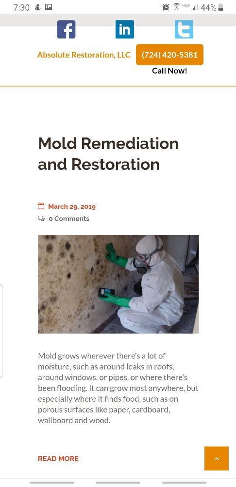 Photo of Absolute Restoration
