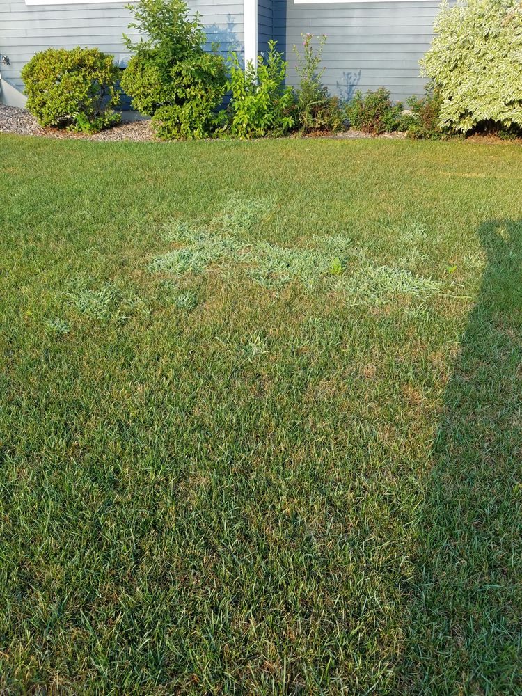 Photo of Hansen's Lawn Care
