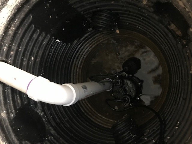 Photo of Rapid Response Restoration